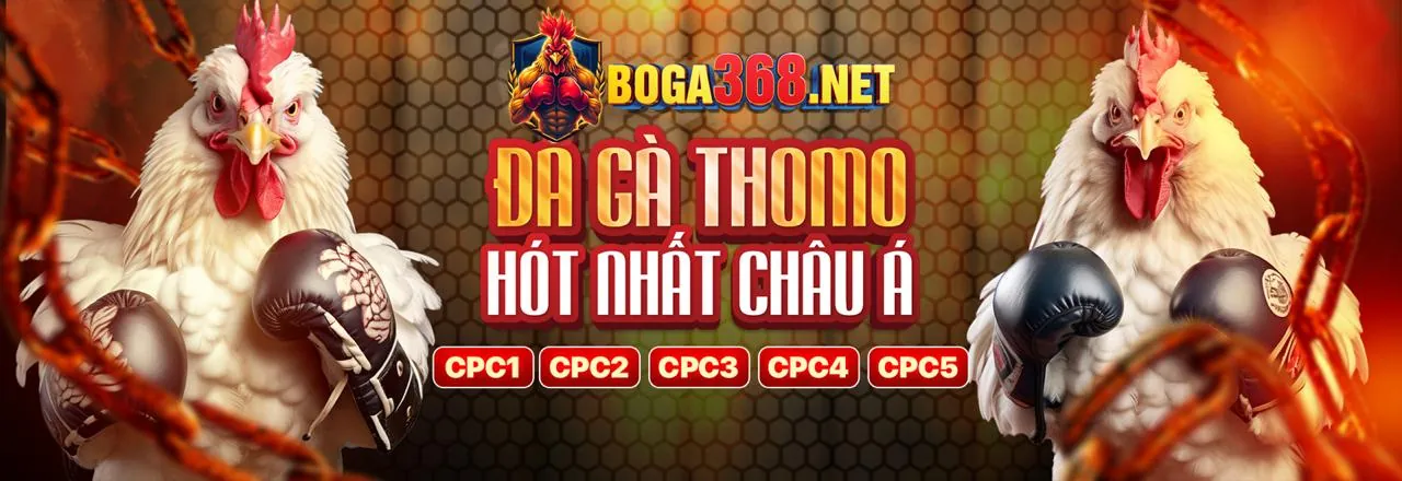 Hình ảnh hỗ trợ khách hàng chuyên nghiệp của ranvip web